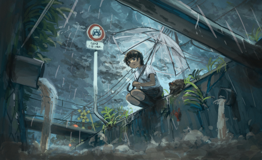 1girl absurdres anko1127 black_eyes black_hair black_skirt black_socks bridge canal collared_shirt commentary_request crayfish drainpipe from_below highres holding holding_umbrella industrial_pipe kneehighs looking_down open_mouth original outdoors over_shoulder overcast power_lines railroad_signal rain road_sign scenery school_uniform shirt short_hair short_sleeves sign skirt sky socks solo squatting transparent transparent_umbrella turtleneck umbrella water weeds white_shirt