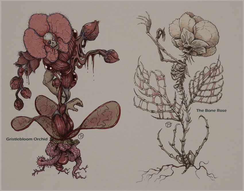 ambiguous_gender animated_skeleton blood bodily_fluids bone duo elemental_creature elemental_humanoid english_text entity_(tma) flesh_(tma) flora_fauna flower flower_creature flower_humanoid gore guts hi_res humanoid intestines nightmare_fuel orchid_(flower) organs petals plant plant_humanoid rose_(flower) skeleton skull skull_head tamvmat text the_magnus_archives undead unusual_anatomy vein