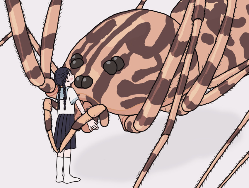 ambiguous_gender arachnid arthropod blush blush_lines braided_hair clothed clothing duo ebnukegara female female/ambiguous feral hair hi_res human mammal mandibles simple_background size_difference spider white_background