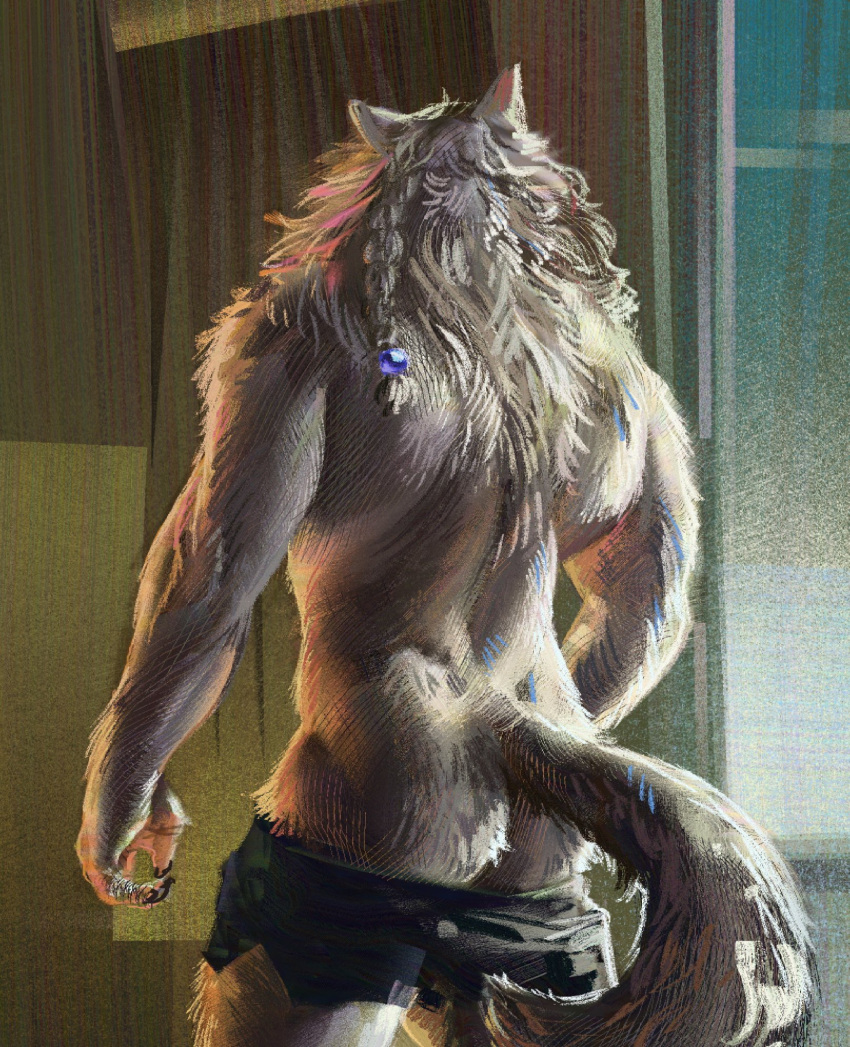 bottomwear bottomwear_down braided_hair butt canid canine clothed clothing hair hi_res male mammal muscular pants pants_down partially_clothed rear_view single_braid solo tail tan_body were werecanid werecanine werewolf zantus