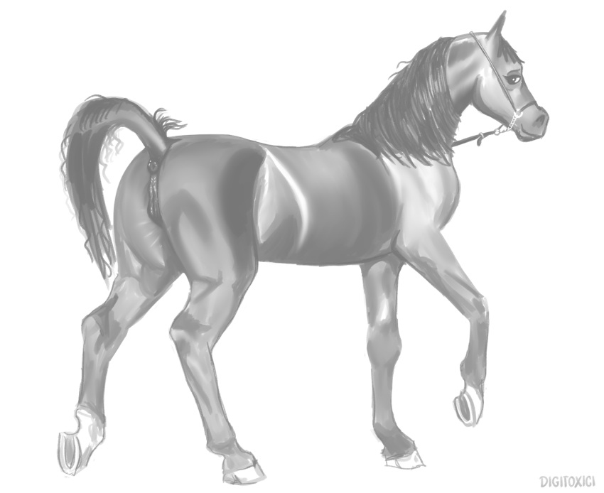 anatomically_correct anatomically_correct_anus anatomically_correct_genitalia anatomically_correct_pussy animal_genitalia animal_pussy anus butt digital_media_(artwork) digitoxici equid equine equine_anus equine_genitalia equine_pussy feral full-length_portrait genitals greyscale hi_res hooves horse looking_at_viewer mammal mane monochrome portrait pussy quadruped simple_background smile smiling_at_viewer standing