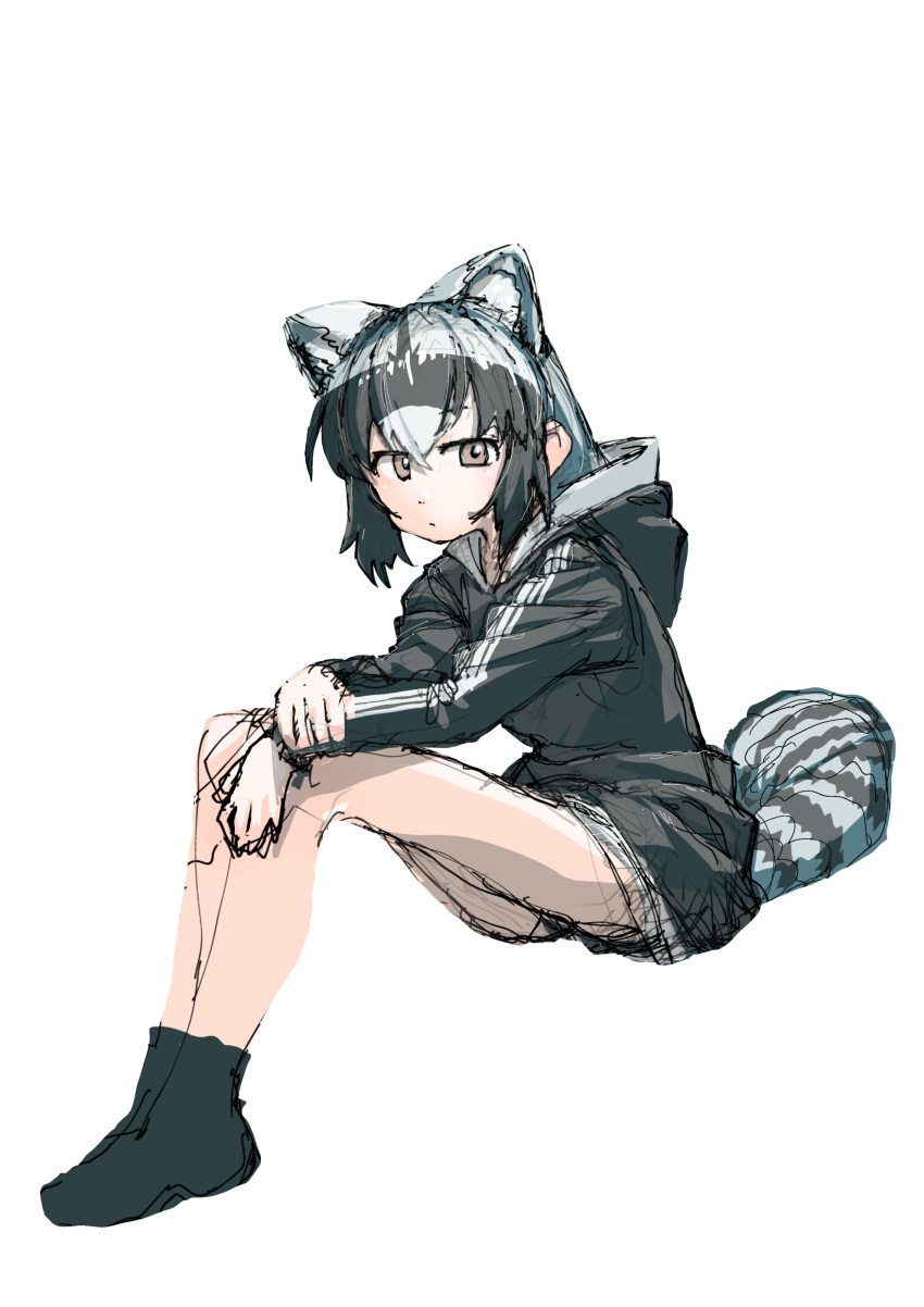 absurdres alternate_costume animal_ears arairestaurant black_hoodie casual common_raccoon_(kemono_friends) extra_ears grey_hair grey_shorts grey_socks hair_between_eyes highres hood hood_down hoodie kemono_friends long_sleeves multicolored_hair raccoon_ears raccoon_girl raccoon_tail short_hair shorts sidelocks socks tail two-tone_hair yellow_eyes