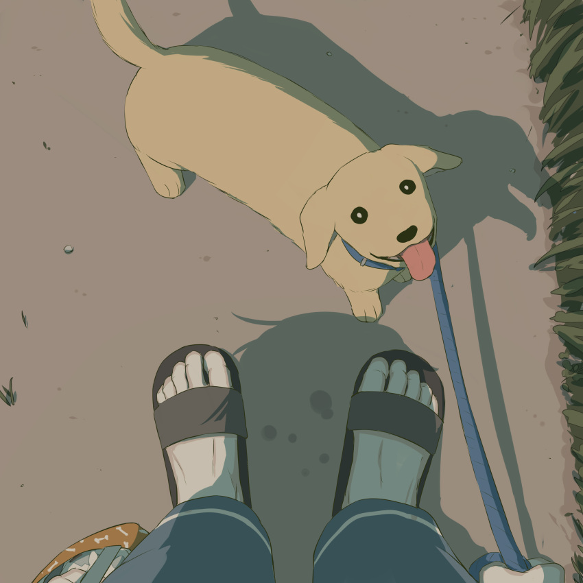 1boy absurdres avogado6 bag barefoot_sandals blue_pants commentary crying day dog from_above grass highres holding holding_bag holding_leash leash looking_at_viewer looking_up original outdoors pants path pet_walking pov pov_hands sandals shadow solo tears toe_scrunch