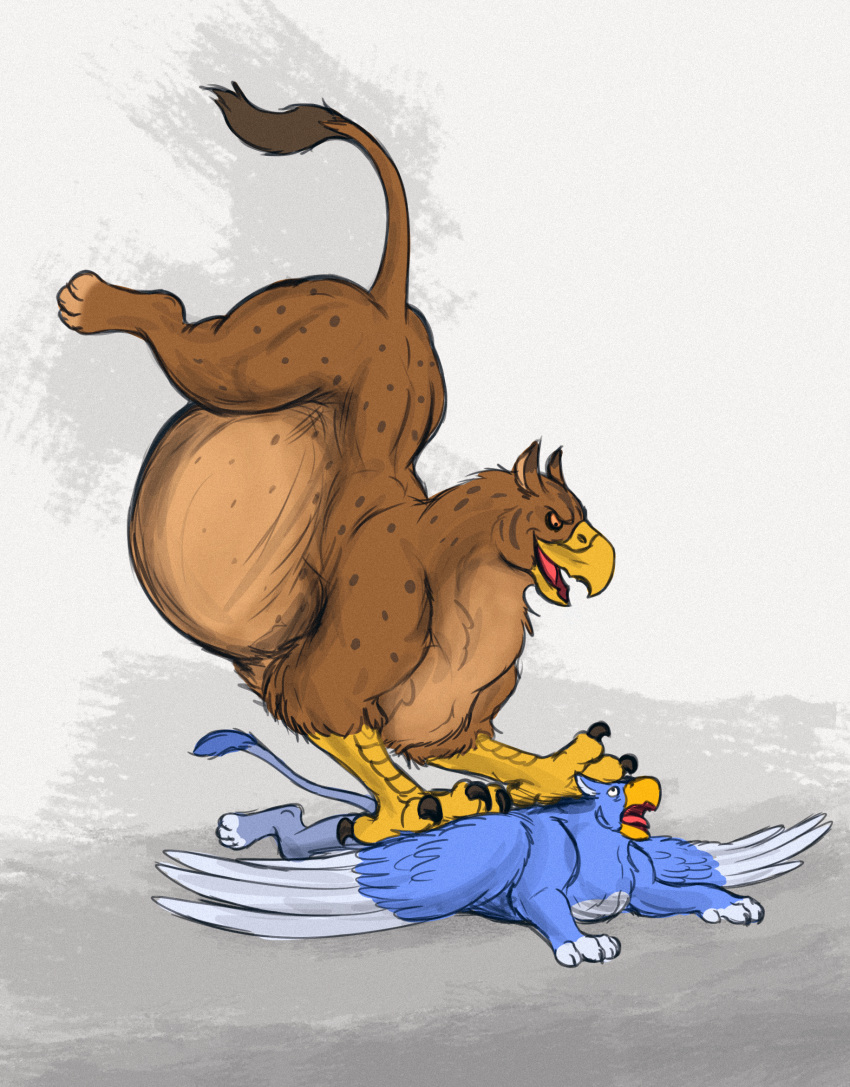 ambiguous_gender avian belly big_belly blue_body blue_feathers blue_fur brown_body brown_fur duo feathers feral fur gryphon hi_res imminent_vore laying_on_ground mythological_avian mythology orange_eyes overweight overweight_feral pounce tan_body tan_fur thatgryphonguy wingless_gryphon