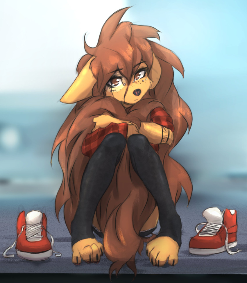 2023 4_toes absurd_res anthro apogee_(tinygaypirate) barefoot canid canine canis claws clothed clothing digital_media_(artwork) domestic_dog feet female female_anthro floppy_ears footwear fur hair hi_res kemono long_hair looking_at_viewer mammal pawpads paws piercing shoes sitting solo spitz tail tattoo tinygaypirate toe_claws toeless_legwear toes