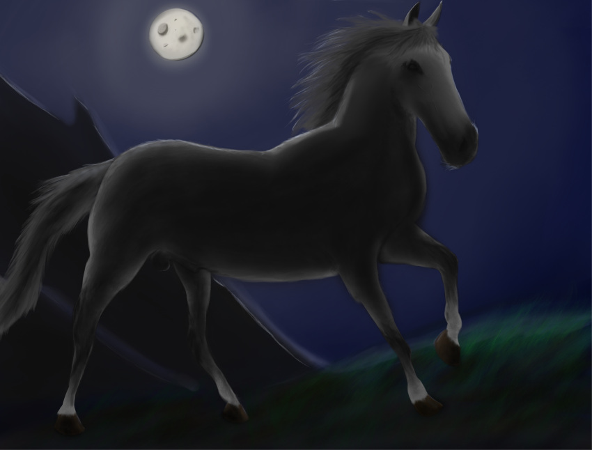 absurd_res anatomically_correct anatomically_correct_genitalia animal_genitalia balls clear_sky detailed_background equid equine felstead feral field from_side genitals grass hi_res hooves horse light male mammal mane moon moonlight mountain night plant sheath solo tail