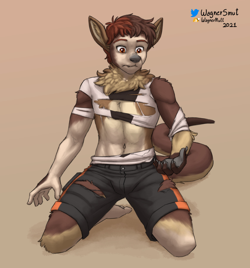 2021 5_fingers 5_toes anthro anthro_transformation black_nose bottomwear brown_body brown_fur brown_hair clothed clothing double_claw eye_scar facial_scar feet fingers fluffy fur grey_pawpads gulonine hair hi_res human human_to_anthro hybrid kangaroo kneeling looking_at_hand macropod male mammal marsupial marten mustelid musteline orange_eyes padded_palms partially_clothed pawpads paws plantigrade ra'zim red_hair sable_(marten) sableroo scar shirt shorts species_transformation tail tan_body tan_fur toes topwear torn_clothing transformation wagnermutt