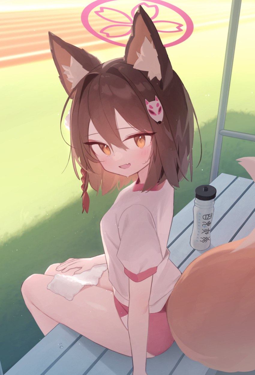 1girl absurdres animal_ear_fluff animal_ears blue_archive blush bottle braid breasts brown_hair commentary doribae fang fox_ears fox_girl fox_hair_ornament fox_tail from_behind gym_shirt gym_uniform hair_between_eyes hair_intakes halo highres izuna_(blue_archive) looking_at_viewer looking_back on_bench open_mouth outdoors pink_halo pink_shorts shirt short_hair short_shorts short_sleeves shorts single_braid sitting sitting_on_bench skin_fang small_breasts solo sweat tail towel water_bottle white_shirt yellow_eyes