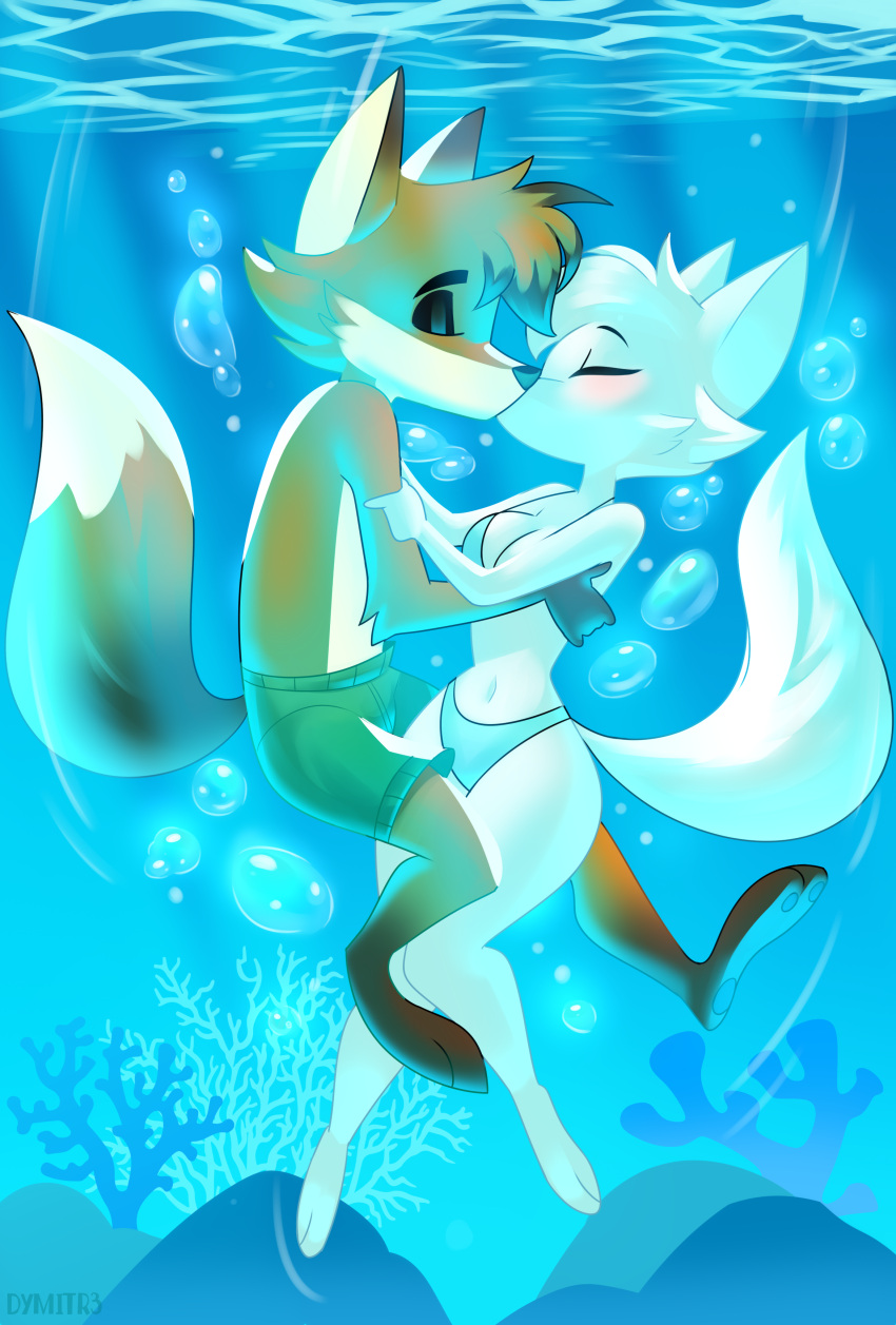 absurd_res anthro arctic_fox bikini breasts bubble canid canine clothing disney duo dymitr3 embrace emily_(emily_rose) eyes_closed fairfax_(mario_toledo) fan_character female fox hi_res hug kissing male male/female mammal ocean_floor red_fox sea swimwear water zootopia