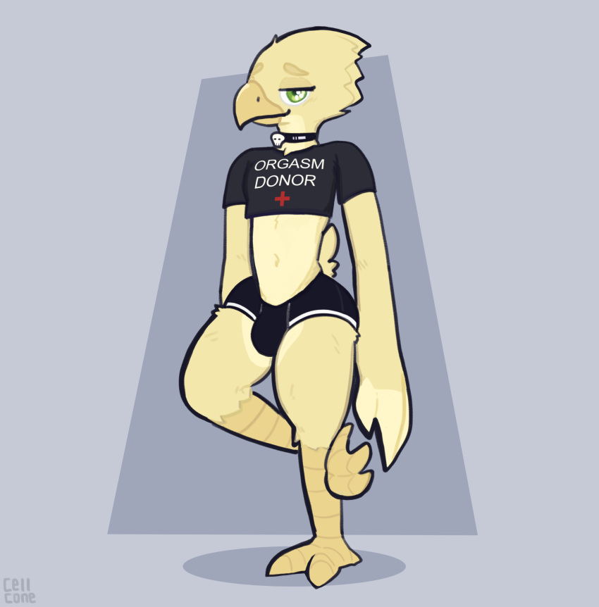 anthro avian bedroom_eyes bird bottomwear bulge cellcone choker clothed clothing countershading digital_drawing_(artwork) digital_media_(artwork) hi_res hotpants jewelry male midriff narrowed_eyes necklace on_one_leg partially_clothed seductive shirt shorts signature simple_background solo standing text text_on_clothing text_on_shirt text_on_topwear topwear winged_arms wings