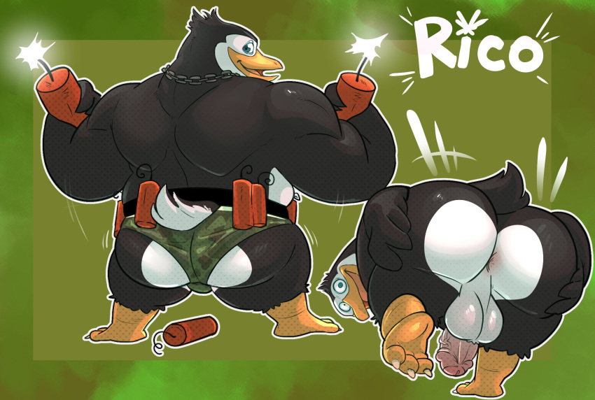 anthro anus avian bird butt chain_necklace clothing dreamworks dynamite explosives genitals haxsmack hi_res jewelry looking_at_viewer looking_back looking_back_at_viewer madagascar_(series) male muscular muscular_male necklace nude nude_male penguin penis presenting presenting_anus presenting_balls presenting_hindquarters rear_view rico_(madagascar) solo the_penguins_of_madagascar thong underwear vein veiny_penis