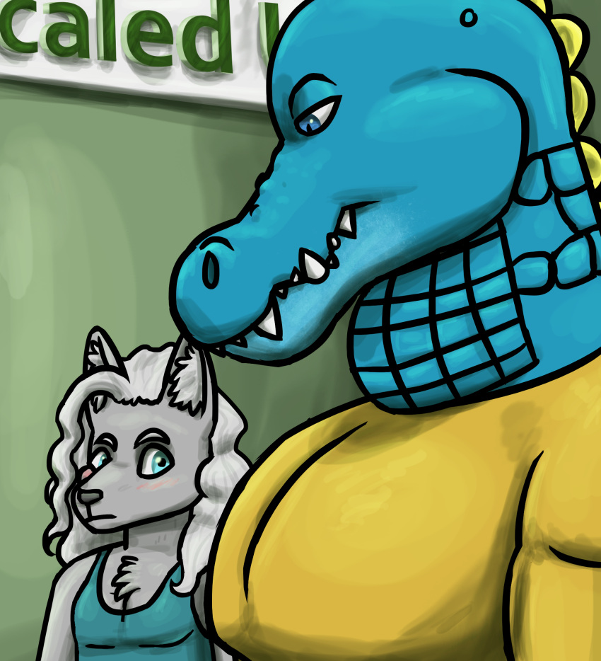 2023 alligator alligatorid anthro azrael_(tertia) azurlligator black_nose blue_body blue_clothing blue_eyes blue_scales blue_shirt blue_tank_top blue_topwear blush bulging_neck canid canine canis chest_tuft clothing crocodilian digital_drawing_(artwork) digital_media_(artwork) duo eyebrows fangs fur girl_staring_at_man's_chest green_wall grey_body grey_fur grey_hair hair hair_over_shoulder half-closed_eyes hi_res inner_ear_fluff interspecies large_pecs larger_male looking_at_another looking_at_partner looking_down male male/male mammal multicolored_body multicolored_scales muscular muscular_anthro muscular_male narrowed_eyes nathile_tiduna orange_clothing orange_shirt orange_topwear pecs pupils reptile scales scalie scutes shirt sign size_difference skywater slit_pupils smaller_male snout tank_top teeth topwear tuft wall_(structure) wavy_hair wolf yellow_scutes