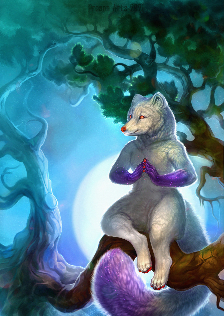 absurd_res anthro arctic_fox big_tail canid canine claws detailed_background digital_media_(artwork) evergreen_tree feet fluffy fluffy_chest fluffy_ears fluffy_tail fox fur hi_res ilusion light lynxcatgirl male mammal meditation moon moonlight multicolored_body night outside painting_(artwork) pawpads paws pine_tree plant proann purple_arms purple_hands red_eyes red_nose red_pawpads semi-anthro sitting sitting_on_tree sky smile solo tail toes traditional_media_(artwork) tree white_body white_fur