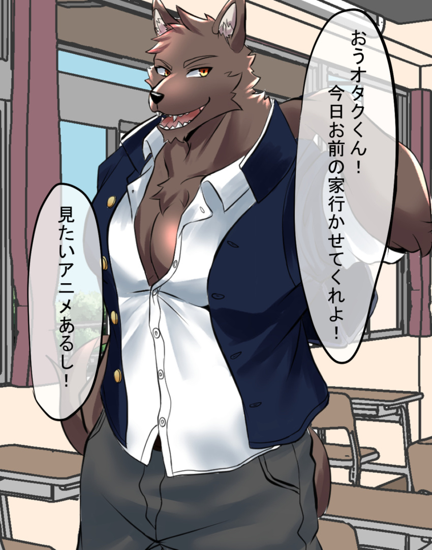 abs anthro big_pecs brown_body brown_fur canid canine canis classroom clothing fur hi_res humukeaka1 japanese_text male mammal marbles_(pixiv) muscular muscular_anthro muscular_male open_mouth pecs school school_uniform sharp_teeth solo teeth text uniform wolf