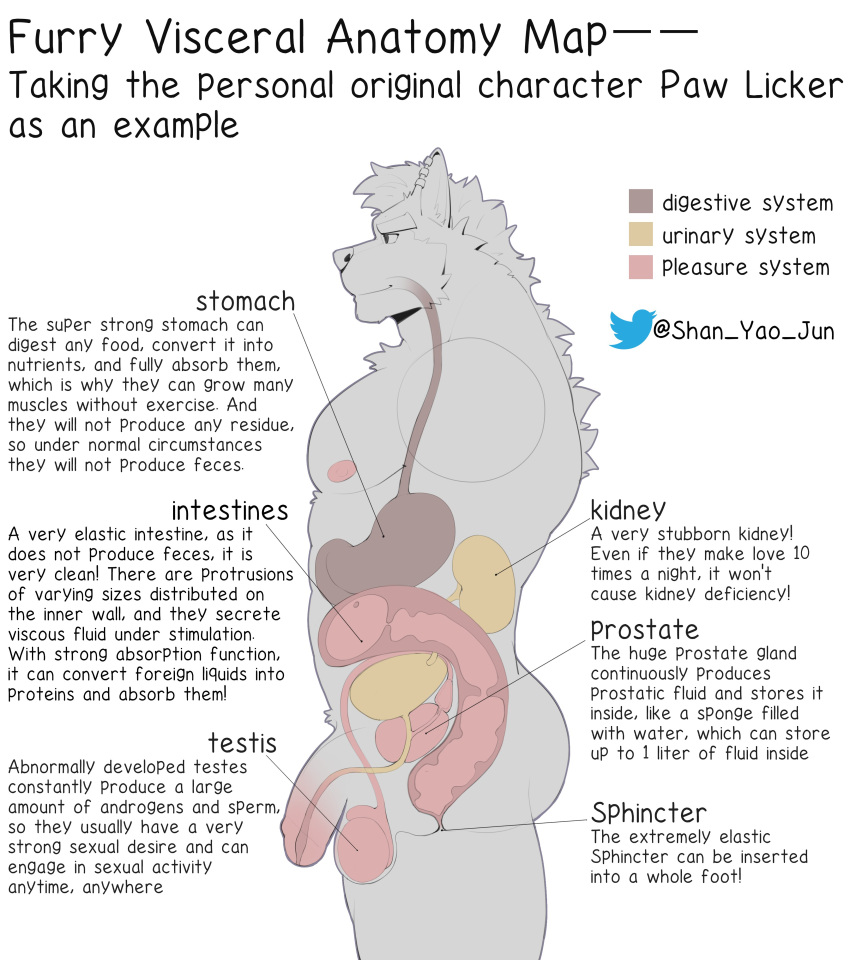 2023 absurd_res anatomy anatomy_chart anthro anus balls canid canine chart diagram ear_piercing english_text esophagus genitals guts hi_res intestines kidney large_intestines male mammal nipples organs penis piercing prostate shan_yao_jun side_profile solo sphincter stomach text twitter twitter_logo