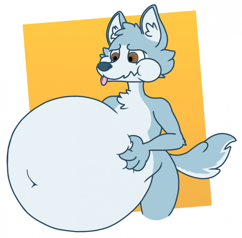 anthro belly belly_inflation big_belly blep bloated canid canine canis fernkarry fernkarrythewolf hi_res inflation male mammal puffy solo tongue tongue_out wolf