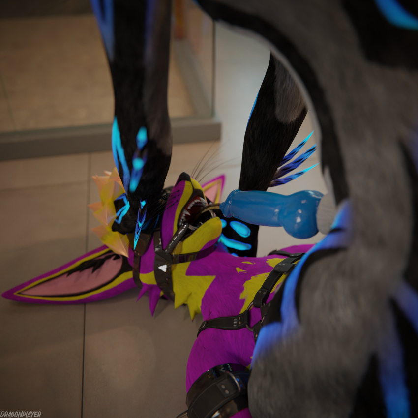1:1 3d_(artwork) 4k absurd_res animal_genitalia animal_penis anthro anthro_on_anthro arms_tied balls bathroom bathroom_floor bdsm biped blender_(software) blender_cycles blindfold blue_body blue_fur blue_penis bodily_fluids bondage bondage_gear bound butt canid canine canine_genitalia canine_penis claws clothing cuff_(restraint) cuffs_(clothing) digital_media_(artwork) dominant dominant_male dragonplayer dragonplayer_(character) drinking drinking_urine duo erection feet forced fox fur gag gagged genital_fluids genitals grey_body hair hand_in_mouth hand_on_head hands_behind_back harness hi_res hindpaw humiliation inside kneeling knot latex latex_clothing legs_tied looking_at_another lying male male/male male_peed_on male_peeing male_peeing_on_male mammal multicolored_body muzzle_gag on_back on_ground open_mouth paws peeing penis pink_penis pinned_to_floor purple_body reflection restraints rexouium ring_gag sex sitting_on_another slim slim_anthro slim_male slim_sub smile spread_legs spreading submissive submissive_male tail teasing teasing_with_butt teom99 tight_clothing toilet_slave urine urine_in_mouth urine_on_face urine_stream watersports white_body yellow_body