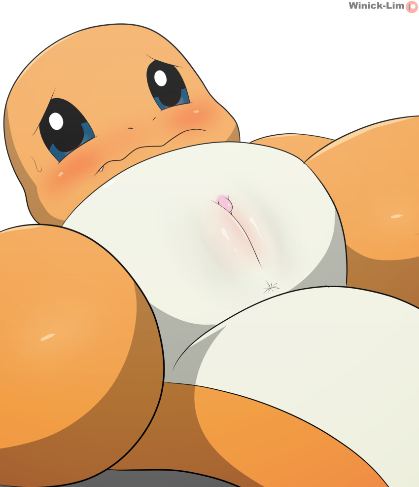 absurd_res anus blue_eyes butt charmander female frown generation_1_pokemon genitals hi_res looking_at_viewer nintendo orange_body pokemon pokemon_(species) pussy simple_background solo spread_legs spreading tail white_background winick-lim yellow_body