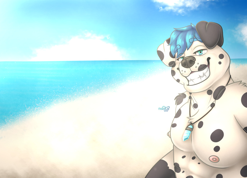 animal_humanoid anthro beach canid canid_humanoid canine canine_humanoid canis dalmatian dalmatian_humanoid dog_humanoid domestic_dog hi_res humanoid male male/male mammal mammal_humanoid naoto sea seaside smile solo summer sun sunny water