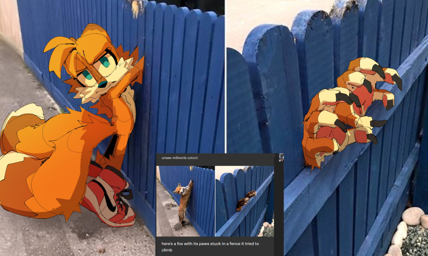 absurd_res anthro blue_eyes canid canine claws clothing fence finger_claws footwear footwear_only fox fur hi_res indigobeats looking_at_viewer male mammal miles_prower mostly_nude multi_tail orange_body orange_fur sega shoes sneakers solo sonic_the_hedgehog_(series) stuck tagme tail white_body white_fur