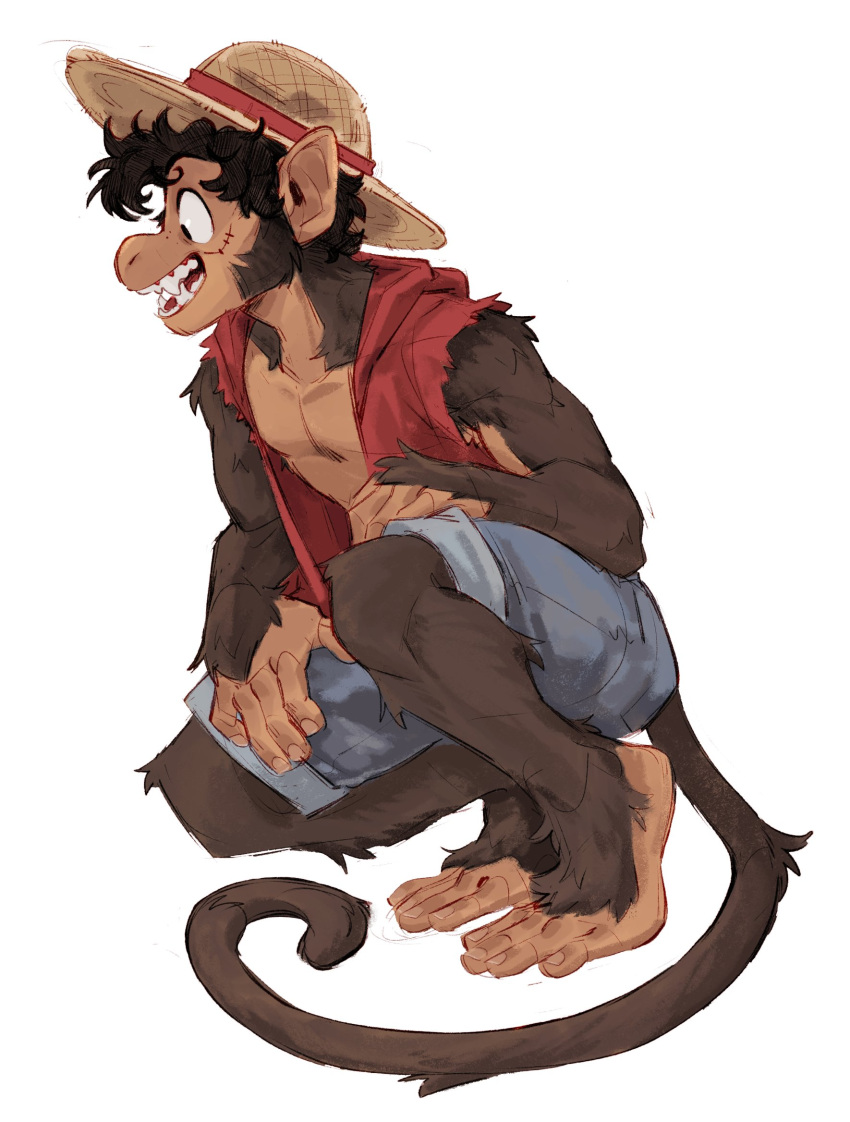 anthro anthrofied bare_chest bottomwear brown_body brown_fur clothing crouching eenocs fur haplorhine hat headgear headwear hi_res male mammal monkey monkey_d._luffy one_piece primate scar shorts simple_background solo straw_hat white_background