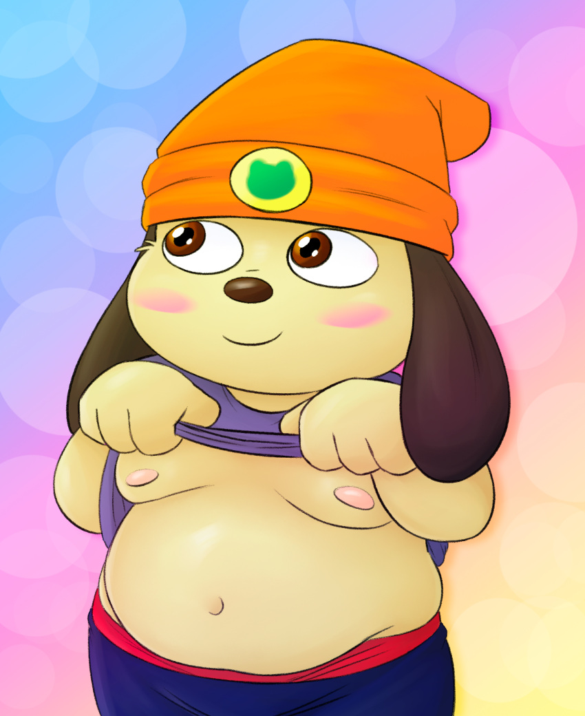 anthro belly breasts canid canine canis clothed clothing clothing_lift cute_expression cute_eyes domestic_dog hi_res male mammal moobs navel nood1e parappa parappa_the_rapper presenting presenting_belly presenting_breasts sagging_pants shirt shirt_lift slightly_chubby smile solo solo_focus sony_corporation sony_interactive_entertainment topwear
