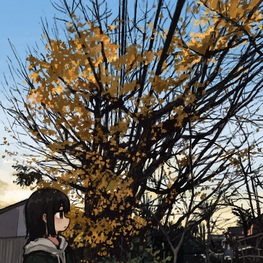 1girl absurdres black_eyes black_hair blue_sky building cloud evening ginkgo_tree green_jacket highres jacket original outdoors profile scenery sky solo tree uniunimikan urban