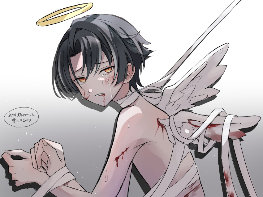 1boy 2023 absurdres angel angel_wings black_hair blood blood_on_arm blood_on_face bloody_wings crying crying_with_eyes_open feathered_wings grey_background grey_hair halo highres itsuki_(paradox_live) male_focus miya_(38magical) multicolored_hair paradox_live short_hair solo tears teeth translation_request white_wings wings