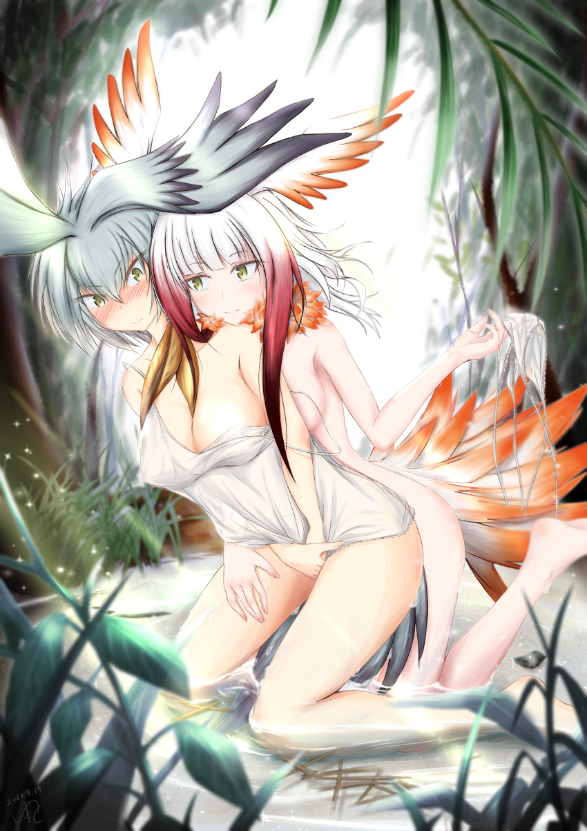 :s absurdres behind_another bird_tail blunt_bangs blush breasts camisole completely_nude covered_nipples crotch_grab dated feather_collar feathers forest frilled_camisole frilled_panties frills gradient_feathers gradient_hair grass green_eyes grey_hair hair_between_eyes head_wings highres japanese_crested_ibis_(kemono_friends) kemono_friends light_smile medium_breasts moricissist multicolored_feathers multicolored_hair nature nude orange_feathers outdoors panties panties_removed partially_submerged plant red_hair shoebill_(kemono_friends) side-tie_panties signature spaghetti_strap strap_slip tail tsurime underwear undressing_another water white_camisole white_feathers white_hair white_panties yuri