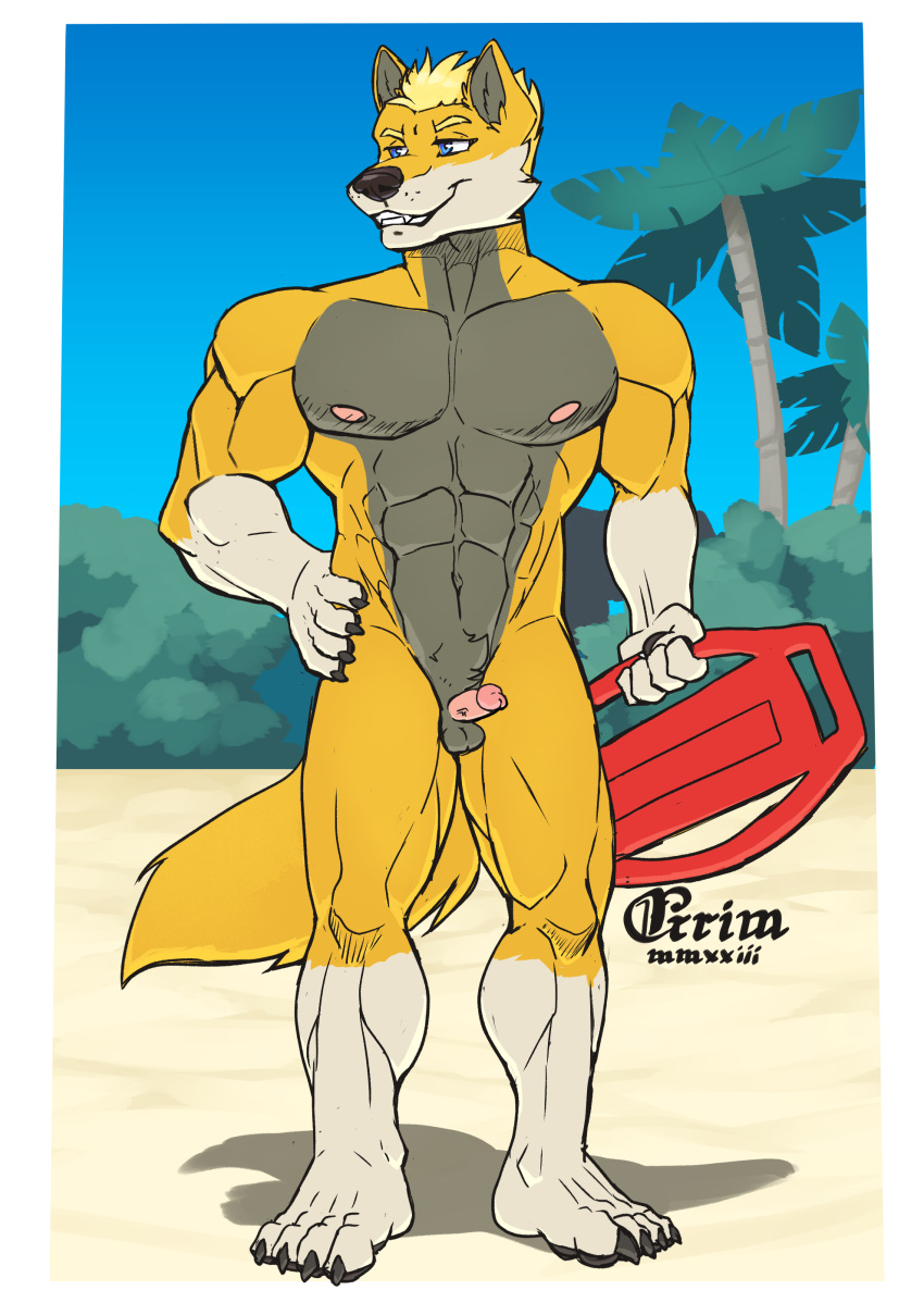 absurd_res anthro balls beach blake_gibson blue_eyes canid canine canis genitals grimsvault hi_res lifeguard male mammal muscular penis seaside small_balls small_penis small_penis_appreciation solo wolf