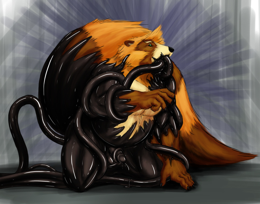 2015 5_fingers anthro belly big_tail black_claws black_nose black_rubber bodily_fluids brown_arms brown_body brown_ears brown_fur brown_markings canid canine claws digital_media_(artwork) dripping erection eyebrows facial_markings finger_claws fingers fluffy fluffy_tail fur genitals goo_transformation green_eyes grey_background head_markings head_tuft humanoid_genitalia humanoid_penis liquid_latex male mammal marcus_fukuyama markings overweight overweight_anthro overweight_male penis raccoon_dog ring_(marking) rubber rwolf sequence simple_background snout snout_markings solo tail tan_belly tan_body tan_eyebrows tan_fur tan_inner_ear tan_markings tanuki tentacles textured_background transformation tuft unusual_bodily_fluids