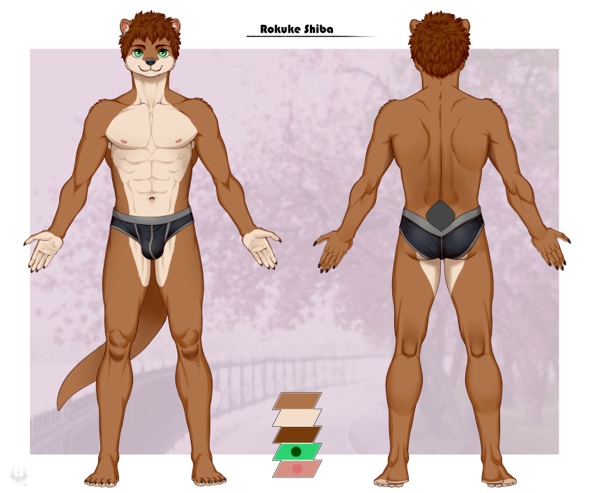 5_fingers 6:5 absurd_res anthro biped brown_body brown_fur brown_hair bulge claws clothed clothing color_swatch countershade_face countershade_fur countershade_neck countershade_torso countershading eldiman eyebrows fingers fur green_eyes hair hi_res male mammal model_sheet mustelid navel otter rokuke_shiba_(character) solo tail underwear underwear_only