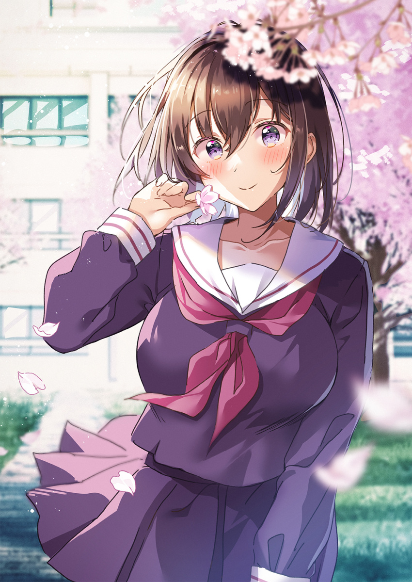 1girl black_serafuku black_skirt blurry blush breasts brown_hair building cherry_blossoms cherry_tree closed_mouth collarbone commentary_request day depth_of_field hair_between_eyes hawawa-chan_(shiro_kuma_shake) highres large_breasts long_sleeves looking_at_viewer medium_hair original outdoors purple_eyes sailor_collar school school_uniform serafuku shiro_kuma_shake skirt smile solo standing white_sailor_collar window