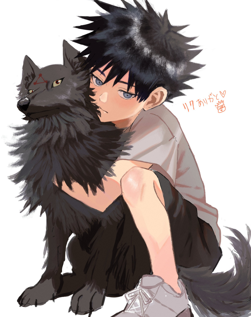 1boy 2222_02 absurdres animal animal_hug bad_id bad_twitter_id black_hair black_shorts blue_eyes child closed_mouth fushiguro_megumi grey_shirt highres hug jujutsu_kaisen looking_at_viewer male_focus shikigami shirt short_hair shorts simple_background tail white_background white_footwear wolf wolf_tail