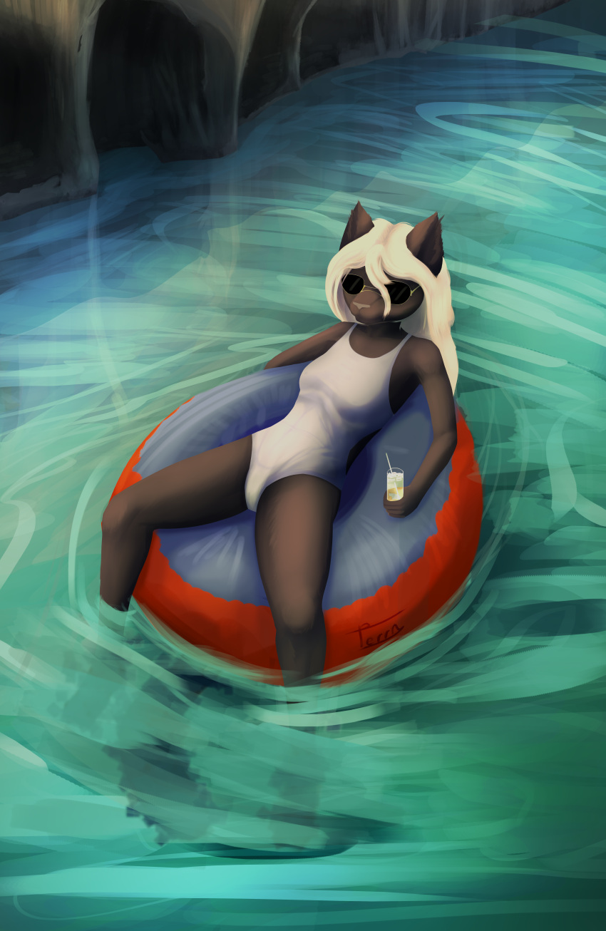 absurd_res anthro bikini black_body black_fur clothed clothing digital_media_(artwork) eyewear felid feline female ferrn fur glasses grey_nose hair hi_res huge_filesize lake mammal pantherine rock solo swimwear toshi_(ferrn) water white_hair