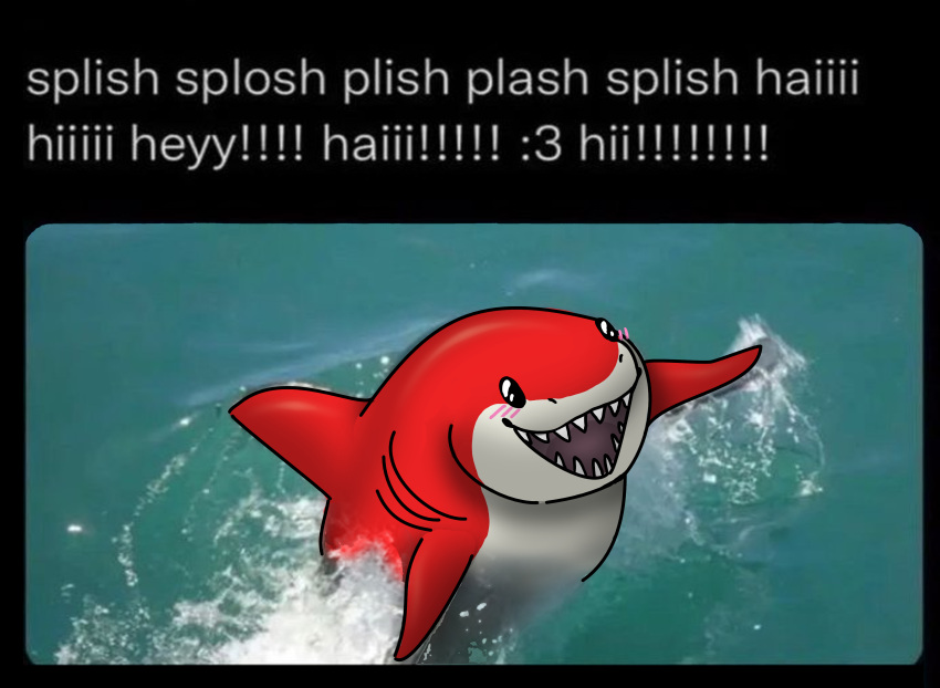 absurd_res fish great_white hello hi_res invalid_tag iron irongut marine meme obese overweight red shark silly splash splish