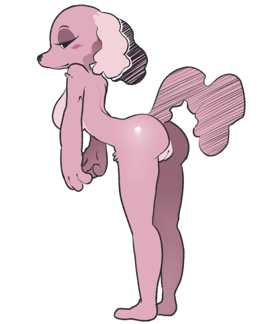 anthro bent_over blush breasts butt canid canine canis domestic_dog featureless_feet female fur genitals hi_res itsunknownanon mammal nude pink_body pink_fur pussy raised_tail simple_background smile solo standing tail white_background