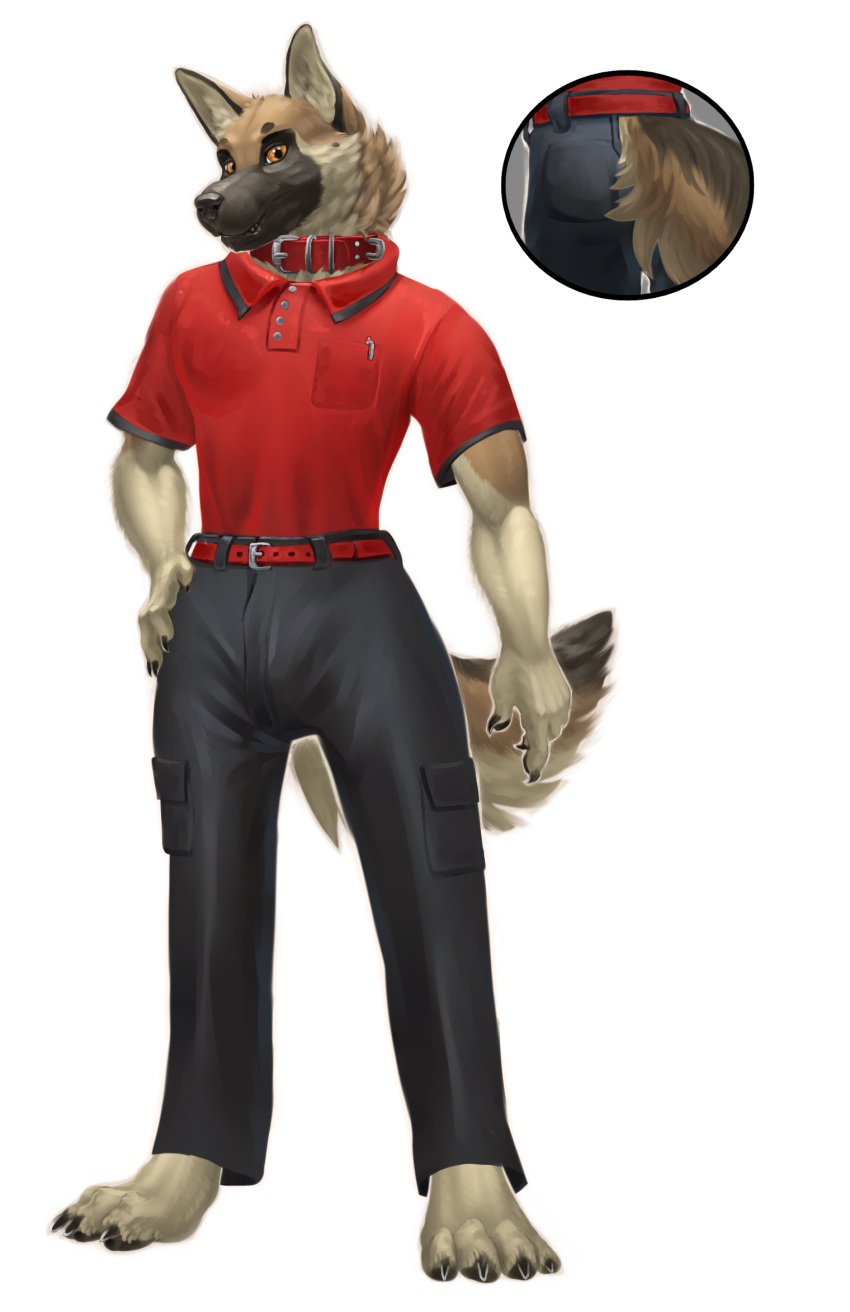 anthro athletic belt black_body black_fur black_nose bottomwear breast_pocket brown_body brown_eyes brown_fur canid canine canis cargo_pants clawed_fingers claws clothed clothing collar cutaway digitigrade domestic_dog dress_pants dsw7 fully_clothed fur german_shepherd hand_on_hip herding_dog hi_res krieg_gsd looking_at_viewer male mammal pants pastoral_dog pawpads paws pen polo_shirt red_leather shirt short_sleeved_shirt short_sleeves solo tan_body tan_fur toe_claws topwear tucked_shirt