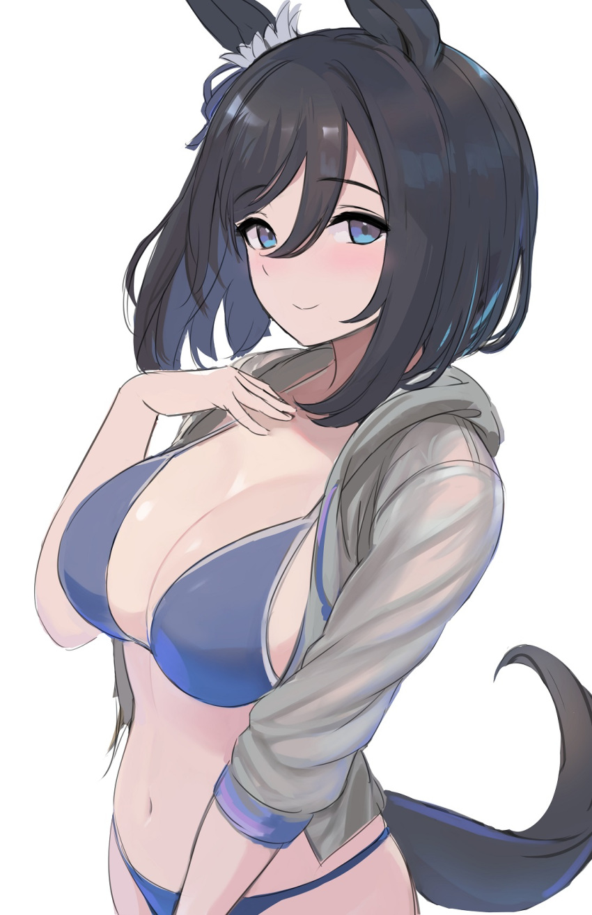 1girl animal_ears bikini black_eyes black_hair blue_bikini blush breasts cleavage closed_mouth eishin_flash_(umamusume) enumiyaa grey_jacket hair_between_eyes hand_up highres horse_ears horse_girl horse_tail jacket large_breasts looking_at_viewer navel open_clothes open_jacket short_hair simple_background sketch smile solo swimsuit tail umamusume upper_body white_background