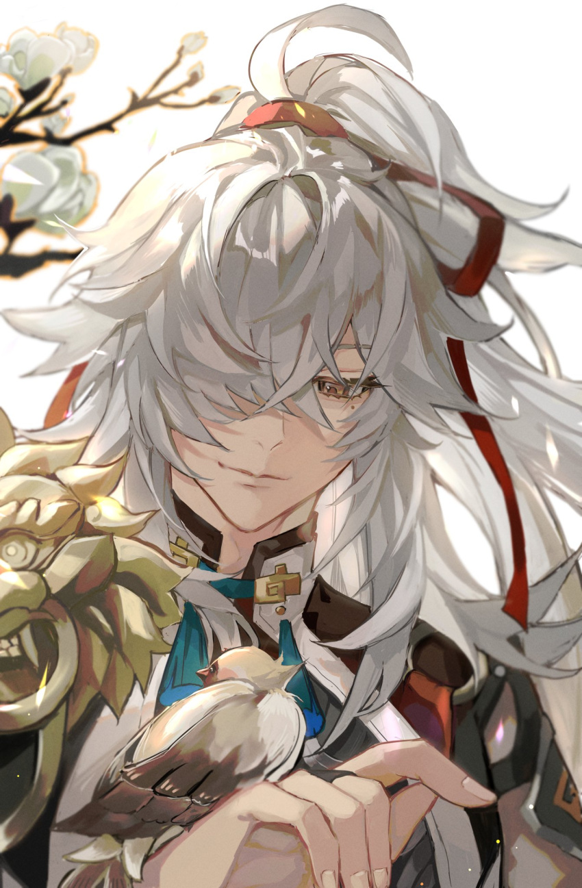 1boy armor bird bird_on_hand black_bridal_gauntlets blue_tassel blurry branch bridal_gauntlets bud coat depth_of_field flower grey_hair hair_over_one_eye hair_ribbon hand_up high_ponytail highres honkai:_star_rail honkai_(series) jing_yuan long_hair looking_at_animal looking_down male_focus mayu_mey mole mole_under_eye neck_tassel ponytail portrait red_ribbon ribbon shoulder_armor simple_background smile solo tassel white_background white_coat white_flower yellow_eyes