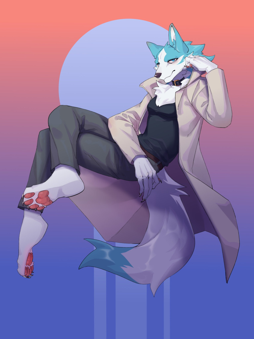 anthro blue_body blue_eyes blue_fur bottomwear brand_new_animal canid canine canis cloak clothing fur hi_res looking_at_viewer male mammal pants pawpaws shirou_ogami shirt solo sssshark_(artist) studio_trigger topwear white_body white_fur wolf