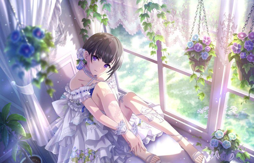 1girl black_hair collarbone criss-cross_halter dress dutch_angle eyelashes feet flower frilled_dress frills full_body game_cg hair_flower hair_ornament halterneck hands_on_own_leg idolmaster idolmaster_cinderella_girls idolmaster_cinderella_girls_starlight_stage knees_up legs looking_at_viewer medium_hair off-shoulder_dress off_shoulder official_art plant potted_plant purple_eyes sandals shirayuki_chiyo sitting_in_window solo toenails toes white_dress white_footwear window