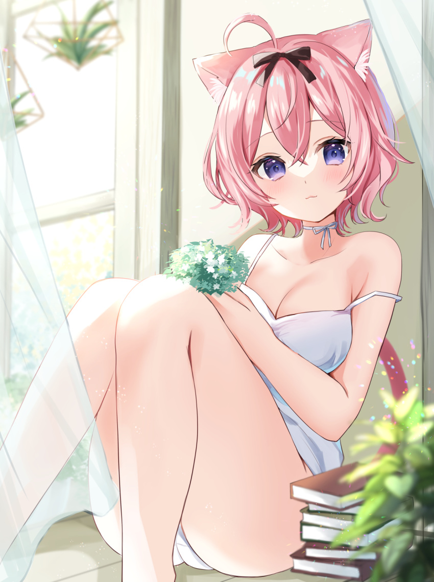 1girl :3 ahoge animal_ear_fluff animal_ears ass barefoot blurry blush book book_stack camisole cat_ears cat_tail closed_mouth commentary_request crossed_bangs curtains depth_of_field hair_between_eyes hamico highres leaf looking_at_viewer original panties pantyshot pink_hair short_hair sitting solo strap_slip tail thighs underwear white_camisole white_panties window windowsill