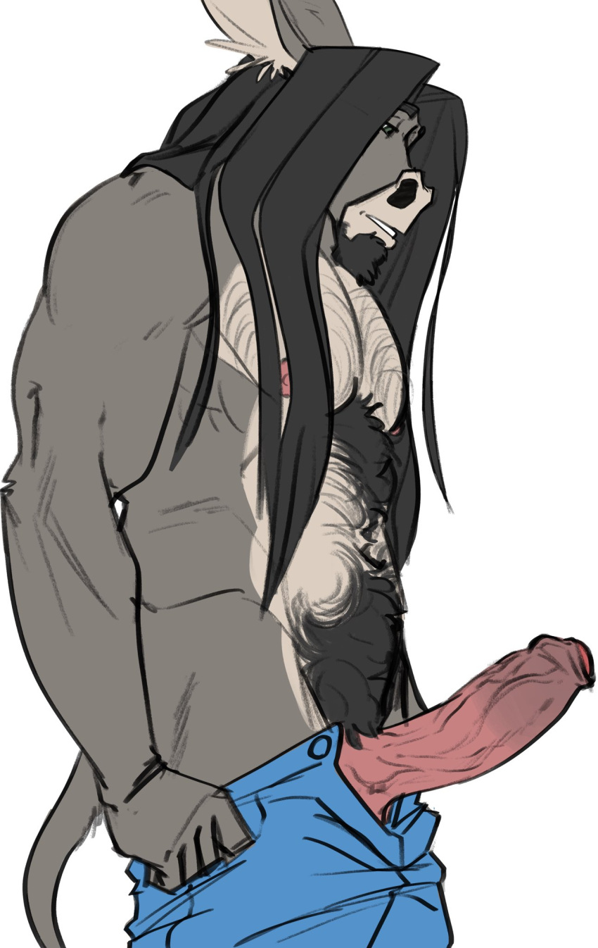 anthro asinus balls body_hair bottomwear clothed clothing donkey equid equine erection foreskin genitals hair hi_res humanoid_genitalia humanoid_penis long_hair male mammal matthew_raymond nipples pants penis penis_through_zipper pubes snoopjay2 solo topless