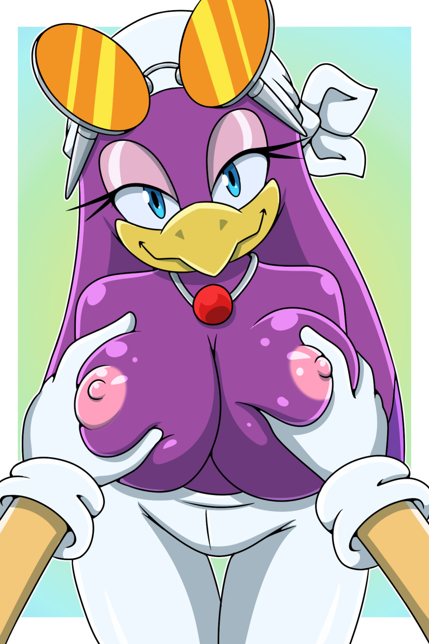 anthro big_breasts breast_grab breasts clothed clothing duo female hand_on_breast hi_res jewelry necklace nipples sega sonic_riders sonic_the_hedgehog_(series) sonicguru swallow_(disambiguation) topless wave_the_swallow