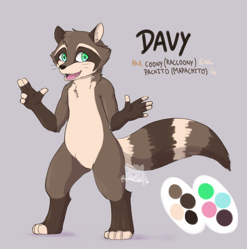 anthro brown_body brown_fur color_swatch coony_(davyboi) davyboi fur fur_markings gesture green_eyes hair hi_res information_board looking_at_viewer male mammal markings model_sheet multicolored_hair nickname pointing procyonid raccoon shaded simple_background simple_shading solo text