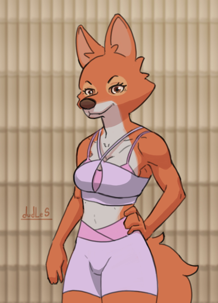 2023 anthro artist_name breasts brown_nose canid canine cheek_tuft cleavage clothed clothing digital_drawing_(artwork) digital_media_(artwork) disney dudles eyebrows eyelashes facial_tuft female fluffy fluffy_tail fox fur hand_on_hip hi_res inner_ear_fluff long_tail looking_at_viewer maid_marian mammal multicolored_body multicolored_fur orange_body orange_fur pink_clothing pink_swimwear red_fox robin_hood_(disney) simple_background smile smiling_at_viewer smirk smirking_at_viewer snout solo straps swimwear tail tuft white_body white_fur