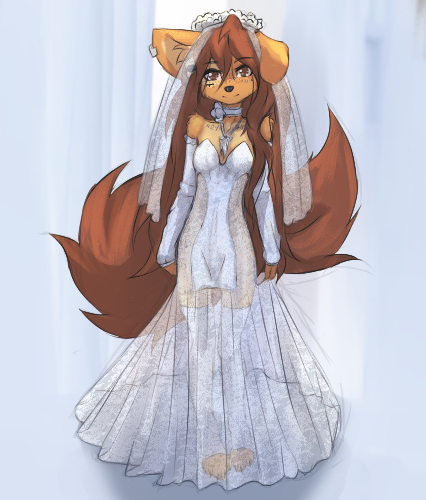 2023 4_toes absurd_res anthro apogee_(tinygaypirate) breasts bridge_piercing canid canine canis claws clothed clothing digital_media_(artwork) domestic_dog dress ear_piercing ear_ring facial_piercing feet female female_anthro floppy_ears full-length_portrait fur hair hi_res kemono legwear long_hair looking_at_viewer mammal nose_piercing paws piercing portrait ring_piercing small_breasts smile smiling_at_viewer solo spitz surface_piercing tail tattoo thigh_highs tinygaypirate toe_claws toeless_legwear toes translucent translucent_clothing wedding_dress wedding_veil