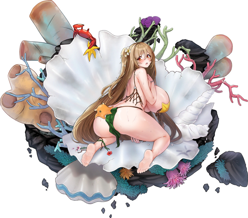 05565 1girl ass back barefoot bikini blonde_hair blush breasts coral crab crumbling defeat falling_petals flower flower_thigh_strap fundoshi hair_between_eyes hair_flower hair_ornament hand_on_own_chest huge_ass huge_breasts injury japanese_clothes jewelry kelp last_origin leaf_bikini long_hair looking_at_viewer looking_back median_furrow net official_alternate_costume official_art one_side_up open_mouth petals pink_flower red_eyes red_flower salacia_(last_origin) sea_anemone seashell seashell_bracelet seaweed shell simple_background sitting solo starfish_bikini string_bikini sweat swimsuit tachi-e tears thigh_strap third-party_source torn_bikini torn_fundoshi transparent_background umbrella_octopus wariza white_flower yellow_flower