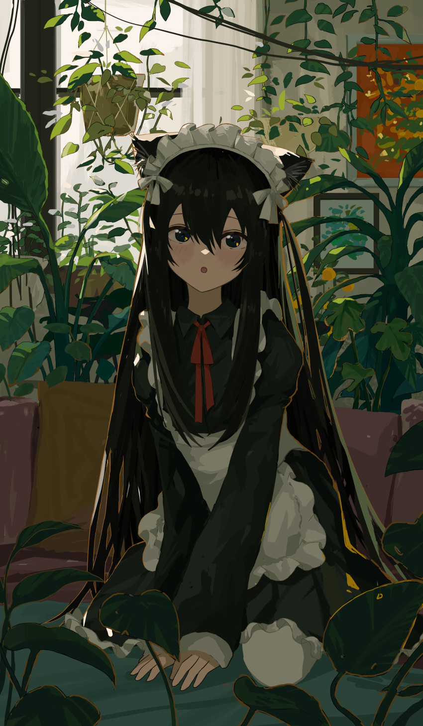 1girl :o absurdres animal_ear_fluff animal_ears apron between_legs black_dress black_eyes black_hair blush breasts cat_ears cat_girl collared_dress commentary dress english_commentary frilled_apron frilled_dress frills hair_between_eyes hand_between_legs highres kgt_(pixiv12957613) long_hair long_sleeves looking_at_viewer maid_apron maid_headdress neck_ribbon open_mouth original painting_(object) plant potted_plant red_ribbon revision ribbon sidelocks sitting small_breasts solo thighhighs very_long_hair waist_apron wariza white_apron white_thighhighs window